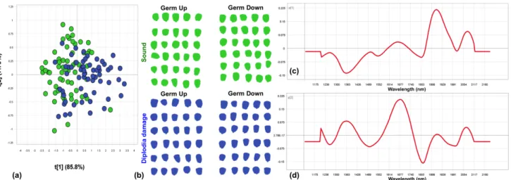 Figure 3.16 Object-wise PCA analysis of Diplodia damage class vs. sound class. Slight separation  of classes observed
