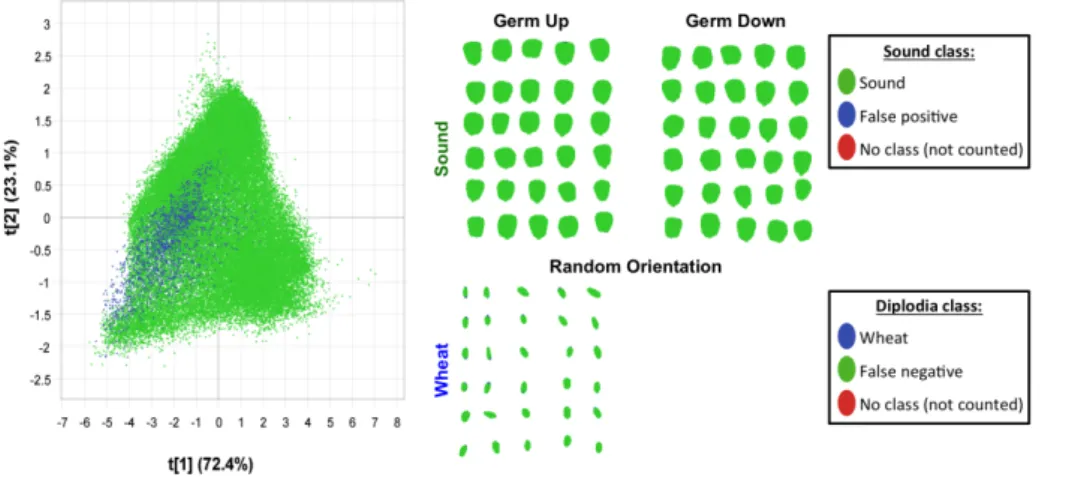 Figure 3.19 Pixel-wise PLS-DA classification resulted in extremely poorly classified wheat class vs