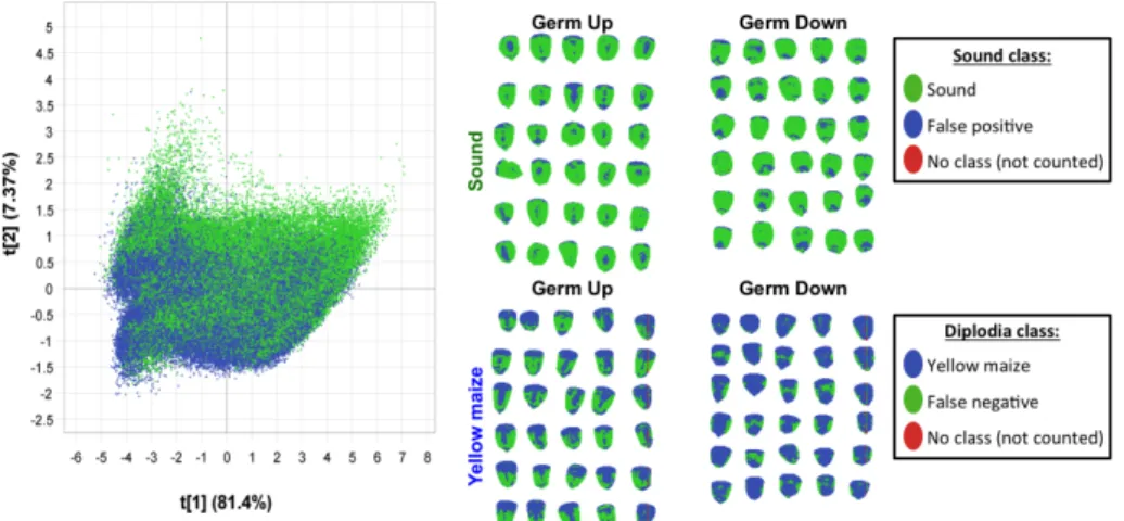 Figure  3.20  Pixel-wise  PLS-DA  classification  resulted  in  poorly  classified  yellow  maize  class  vs