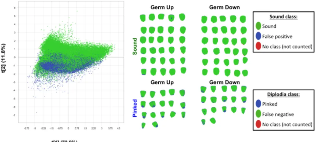 Figure 3.23 Pixel-wise PLS-DA classification resulted in extremely poorly classified pinked class vs