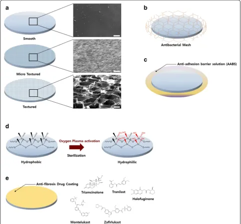 Fig. 1 Overview of different PDMS breast implant surface modifications. a SEM images and scheme of PDMS breast implants with smooth, microtextured,and textured surface morphology