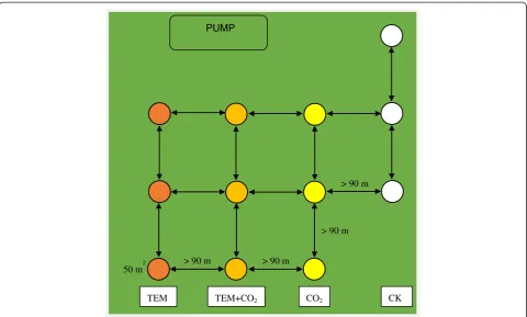 Fig. 1 Diagram of the experimental design (CK, control, concentration of CO2 413 μmol/mol and average temperature 10.5 °C; CO2, elevated CO2group, concentration of CO2 500 μmol/mol; TEM, elevated temperature group, average temperature 12.5 °C; CO2 + TEM, elevated CO2 andtemperature group, i.e., concentration of CO2 500 μmol/mol, temperature 12.5 °C)