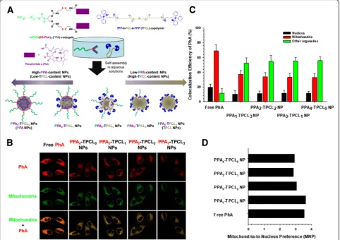 Fig. 7 M-T-D 3-in-1 typed PPAn-TPCL4-n nanoparticles (NPs): (a) preparation of PPAn-TPCL4-n NPs, (b) Mitochondria-targeting activity andfluorescence imaging of PPAn-TPCL4-n NPs in HeLa cells after 4 h of incubation, (c) Colocalization efficiency of PhA delivered by PPAn-TPCL4-n NPsin HeLa cells after 4 h of incubation, and (d) Mitochondria-to-Nucleus preference (MNP) of PPAn-TPCL4-n NPs in HeLa cells after 4 h of incubation.Reproduced with permission from reference [37]; Copyright © 2017 Elsevier B.V