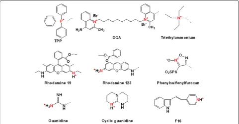 Fig. 2 Types of mitochondria-targeting theranostics (Mito-Theranostics)