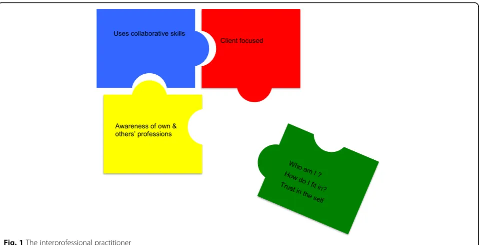 Fig. 1 The interprofessional practitioner