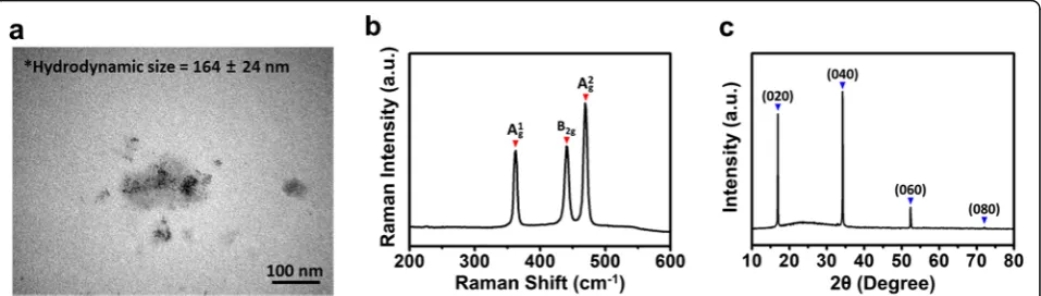 Fig. 1 Characterizations of BP nanodots. a TEM image, b Raman spectrum, c XRD pattern of BP nanodots
