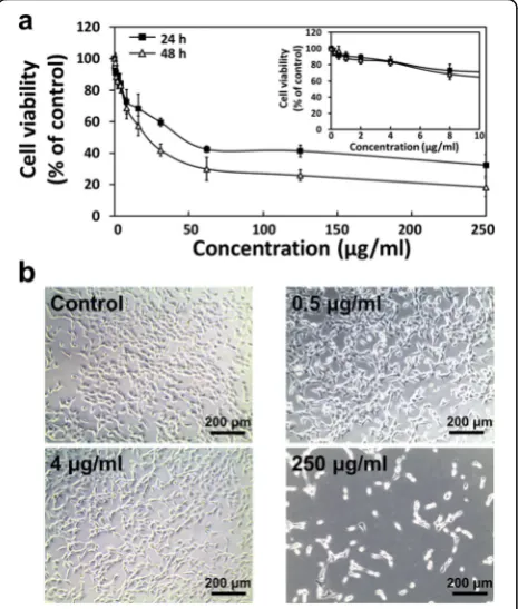 Fig. 2 Cytotoxicity of BP nanodots against C2C12 skeletal myoblasts.viability of C2C12 myoblasts was determined using a CCK-8 assay,and all photographs shown in this figure are representative of sixa C2C12 skeletal myoblast viability after the 24 (■) and 4