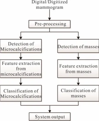 Figure 2. Steps of the pre-processing stage, using image mdb219 from MIAS database. (a) Original image; (b) After median filter; (c) Binary image without, background labels; (d) Pre-processed image