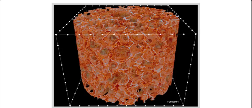 Fig. 1 A 3D micro-CT image of the polycaprolactone-polyurethane scaffold. The distance between two adjacent white dots is 250 μm