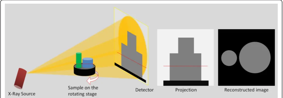 Fig. 2 Schematic illustration showing the basics of micro-CT. Cone-beam X-rays travel from the source to the detector through thesample with attenuation, and a gray-scale projection image is acquired at each rotation angle