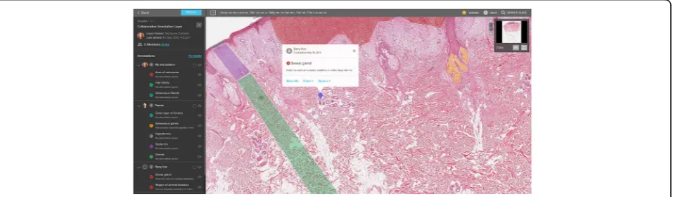 Fig. 1 Screenshot showing the interface and capabilities of Slice for annotation of WSIs