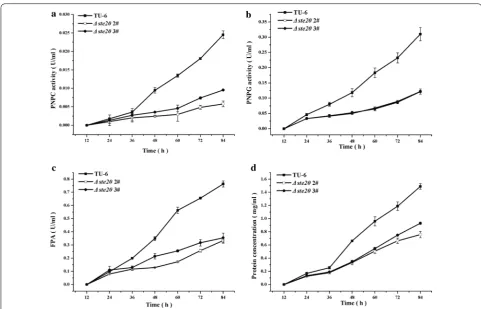 Fig. 7 Deletion of Trste20 reduced cellulase production. Extracellular hydrolytic activities of pNPC (a), pNPG (b), FPA (c) and protein concentration (d) of the parental and the Δste20 strains were analyzed as described in the material and method section