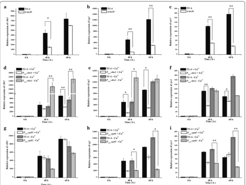 Fig. 8 Transcriptional analysis of (w/v) Avicel supplied with or without 20 μM  CuSOeg1chb1, eg1 and xyr1 in different mutant and parental strains