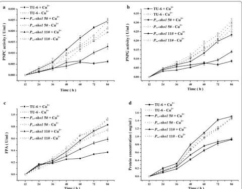 Fig. 9 Copper-repressed with or without  CuSOTrsho1 caused severe defect on cellulase production