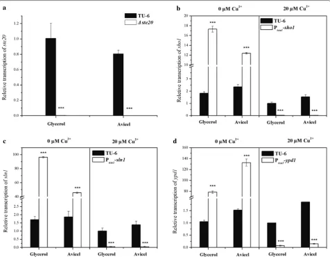 Fig. 2 Transcriptional analyses of target genes in mutant strains. qRT-PCR analysis of the relative expression of Trypd1without copper