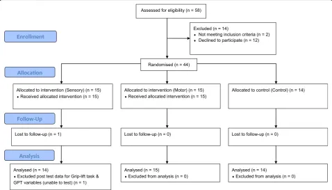 Fig. 2 CONSORT Flow diagram