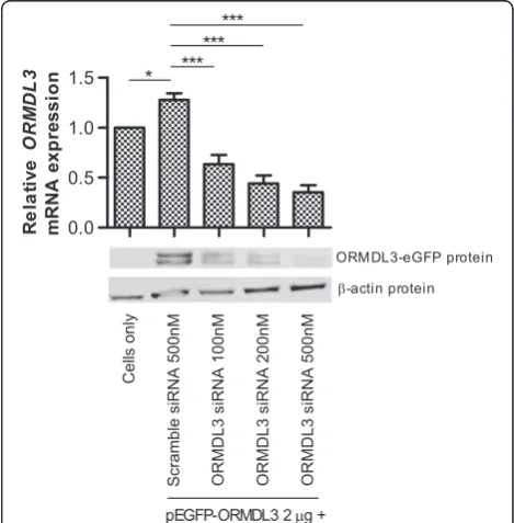 Figure 1 Experimental manipulation of ORMDL3 expression.Graph (top) shows relative ORMDL3 transcript levels