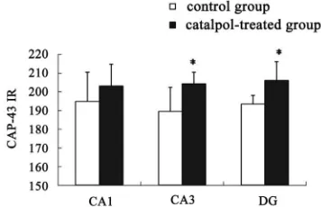 Figure 7. Effects of catalpol on GAP-43 expression in hip-pocampus and frontal cortex