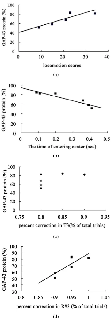 Figure 8. Correlation between hippocampal GAP-43 pro- tein expression and spatial tasks
