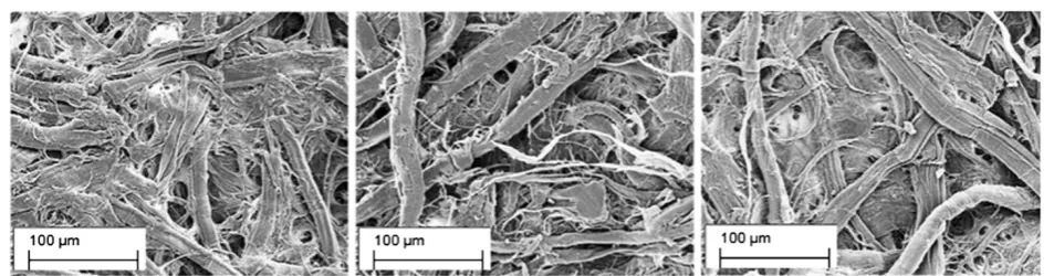 Figure 3 Cleaning ability of hydrogel. Direct visualization of (A) RS untreated sample; (B): RS sample treated with PEO hydrogel, and (C): RSsample treated with PLU hydrogel.