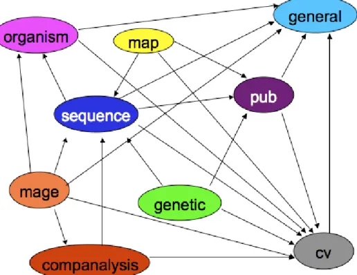 Figure 4.1: Modules in Chado and their relationships [8]