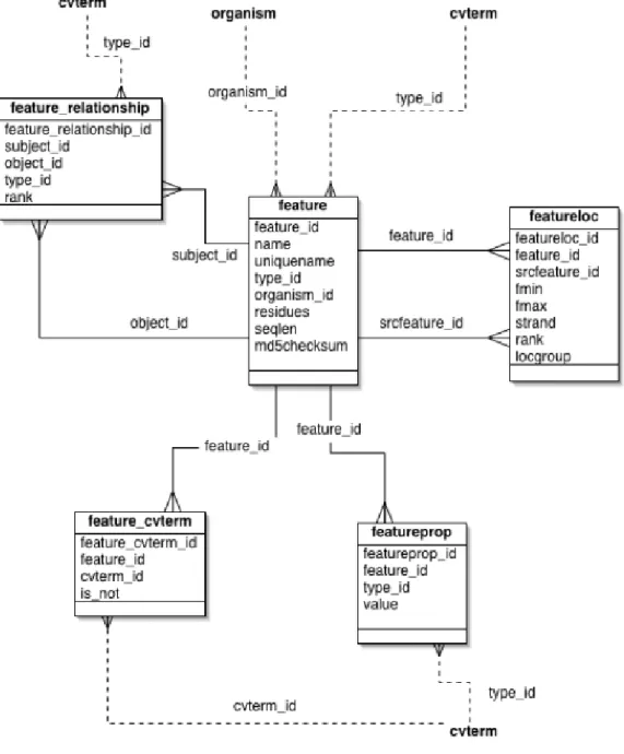 Figure 4.2: Tables in Feature Module [8]