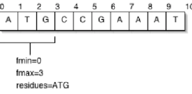Figure 4.3: Interbase sequence coordinates [8]