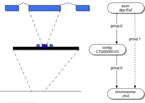 Figure 4.4: Example of featureloc graph [8]
