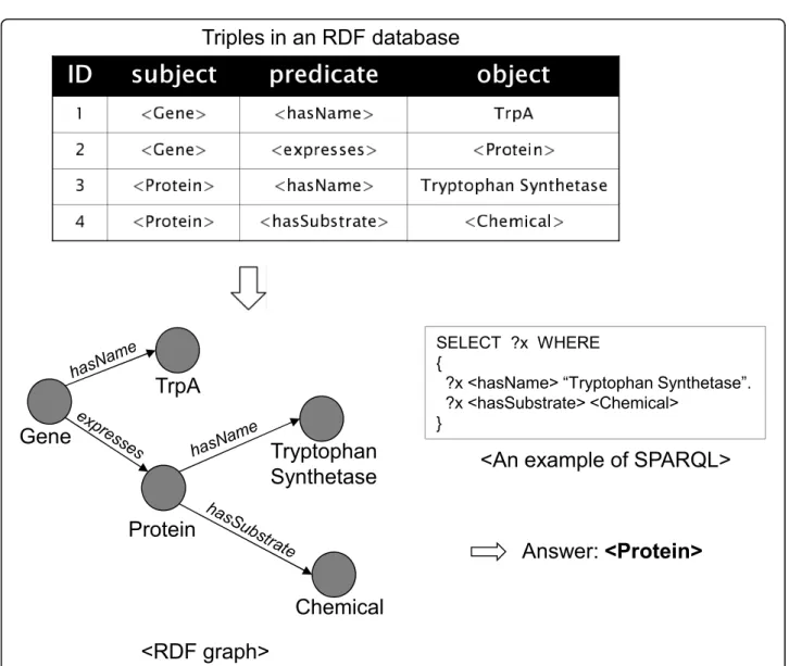 Figure 1 shows an example of the graph representa- representa-tion format of an RDF database, a SPARQL query, and the answer for this SPARQL query.