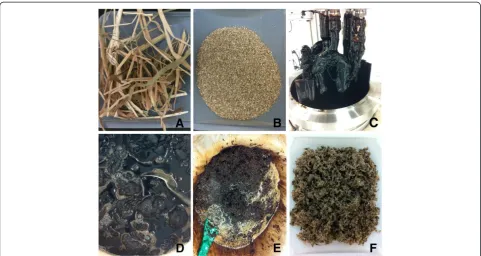 Figure 1 [Creduction (2 mm screen),2mim][OAc] pretreatment of switchgrass at 6 L scale