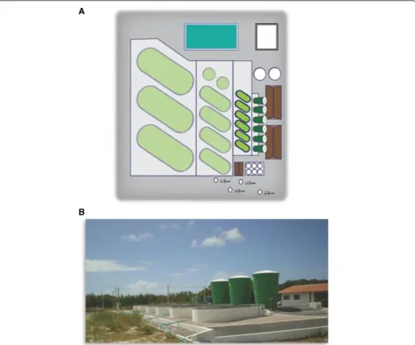 Figure 5 Microalgae pilot plant. Athe capacity to operate open ponds with a unit volume of 6,000 literslocated in Extremoz at the Aquaculture Technology Center of UFRN (Universidade Federal do Rio Grande do Norte)