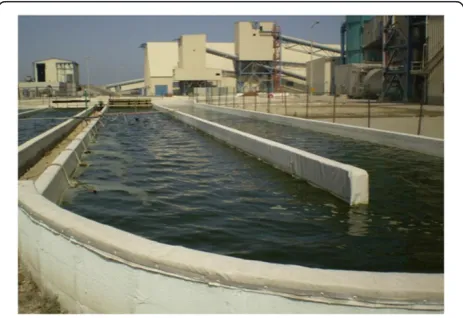 Figure 1 Cultivation of Nannochloropsis sp. microalgae usingseawater in open systems at the Seambiotic company,Israel, 2009.