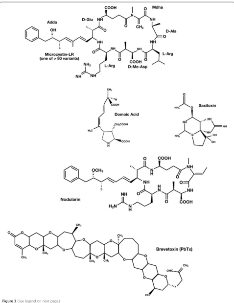 Figure 3 (See legend on next page.)