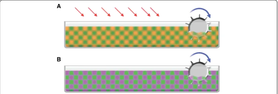Figure 4 Control of biological contamination. A. Chemicals (red arrows) are released into the culture medium in order to combat biologicalcontamination (orange) in an open system containing microalgae (green).The circle represents the blades turning at low