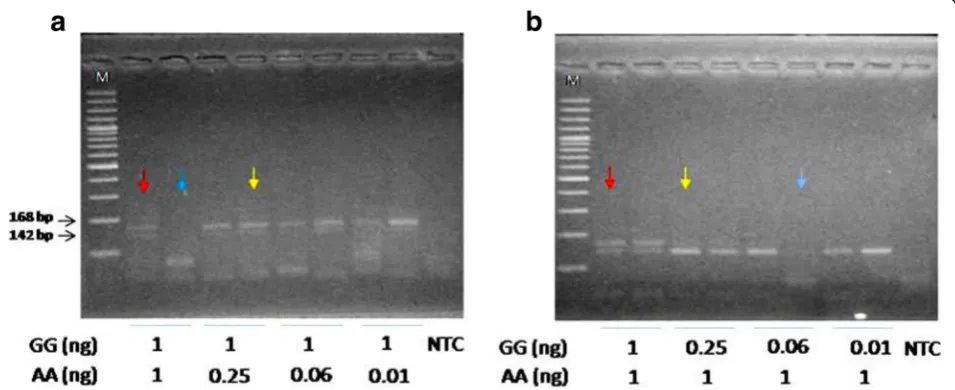 Fig. 1 Effect of the DNA template ratio on the genotyping errors of HER2 Ile655Val AS-PCR