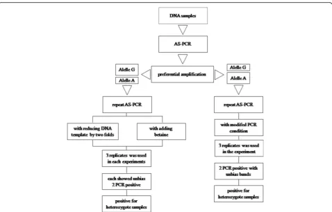 Fig. 6 Guideline for re-evaluating the heterozygote samples that show genotyping errors due to preferential amplification in HER2Ile655Val AS-PCR
