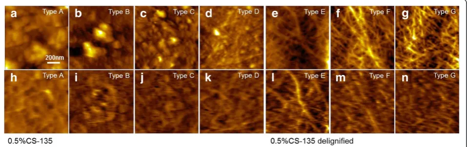 Figure 3 Representative topography and recognition images of 0.5%CS-135 and delignified 0.5%CS-135 surface of different areatypes