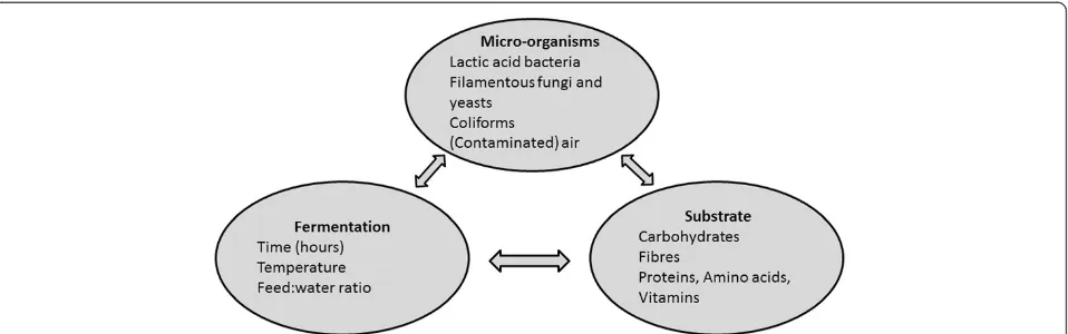 Figure 1 Interactions in fermented liquid feed between the micro-organisms present, fermentation parameters and substrate quantityand quality affects the final end product
