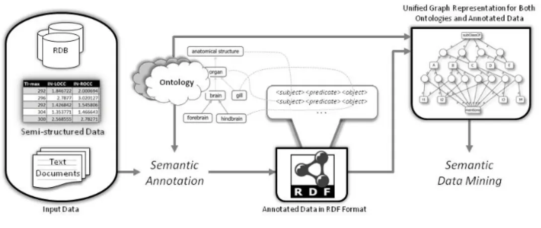 FIGURE 1.1. The proposed workﬂow for semantic data mining.
