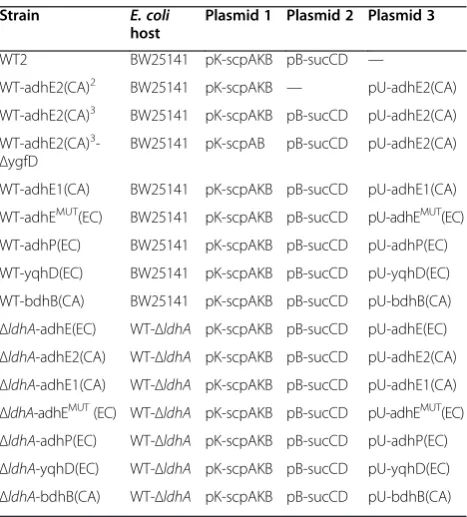 Table 4 Hosts strains, plasmids and primers (Continued)