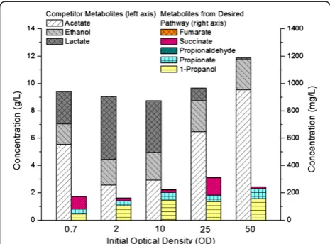 Figure 4 End point secretion profile of major end productsfrom anaerobic fermentations of WT-adhE2(CA)3 at five opticaldensities (OD600), profiled by 1D-1H-NMR