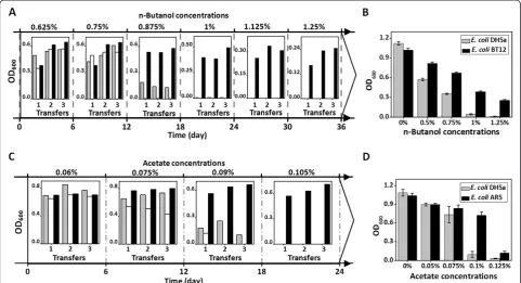 Figure 4 Application of GREACE to improve n-butanol tolerance and acetate tolerance of E