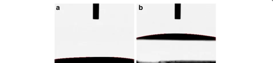 Fig. 9 Optical images of collagen-nHA composite nanofibers laminated on (a) pristine and (b) polydopamine coated microfibrous PLGA fabrics