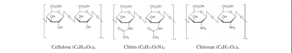 Figure 1 Structures of cellulose, chitin and chitosan.