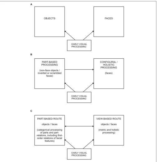 FIGURE 2 | Three different models relating object and face perception. (A) According to the model by Farah (adapted from Farah, 1996) object and faceprocessing are largely independent from each other
