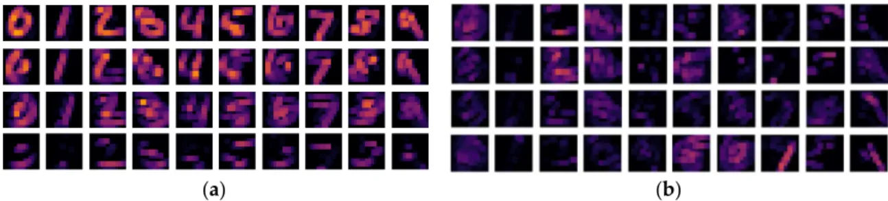 Figure 7. The MI guided DenseNet activation maps after the first convolutional block: (a) the  Figure 7