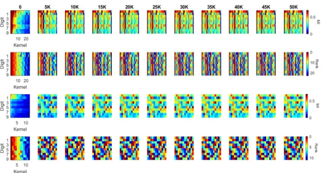 Figure 10. MI and MI order evolution of the kernels in the first two blocks of the DenseNet