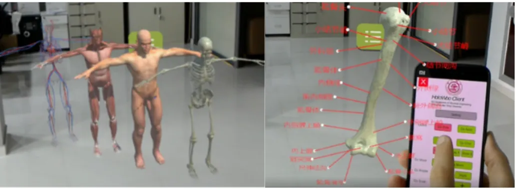 Figure 5: User interface designed to reach our needs in medical school. Left: Whole body menu; Right: The user interface displaying Human Humerus supporting gestures controlling and cellphone APP