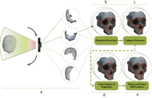 Figure 2: The overview of extracting the KSR features from the scanned results. (a) Scanning the object from different view angle
