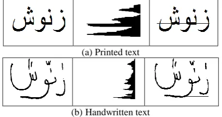 Fig. 2. Arabic text baseline estimation using the horizontal projection histogram technique